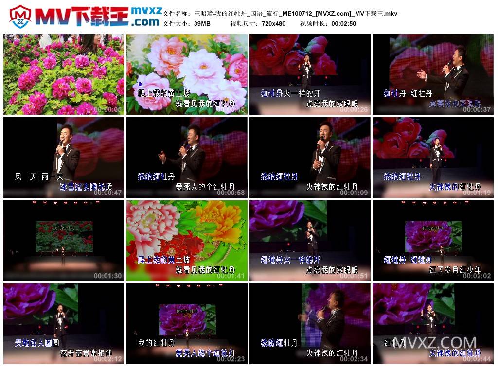 王昭璋-我的红牡丹_国语_流行_ME100712